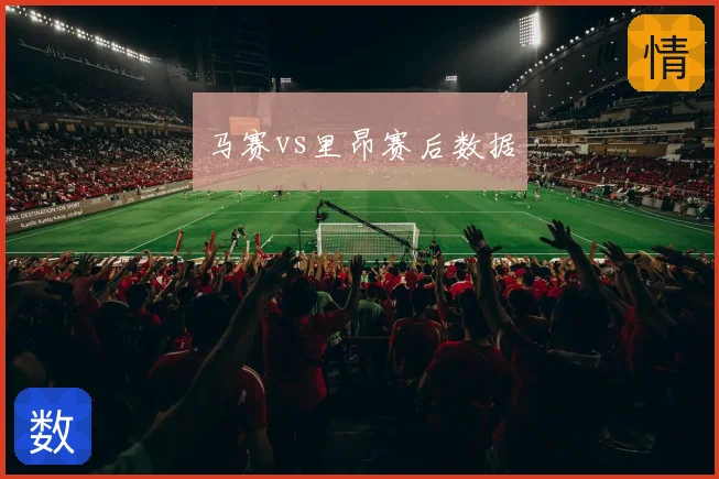 马赛vs里昂赛后数据