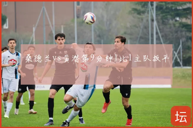 桑德兰vs黄潜第9分钟1比1主队扳平
