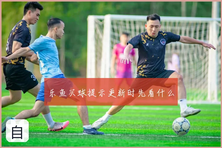 乐鱼买球提示更新时先看什么