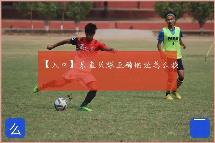 【入口】乐鱼买球正确地址怎么找